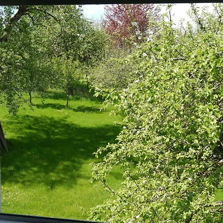 Lägenhet Renner Ca 100 Qm Muhlingen